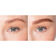 TOO FACED  BROWS         BROW